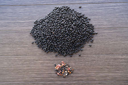 Group of black and impure beans found in their cleaning.の写真素材
