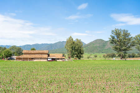 villages of Jalisco Mexico, ranch in the landscape in the town of Mirandillas.の写真素材