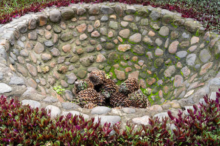The agave to make tequila is in the stone oven.