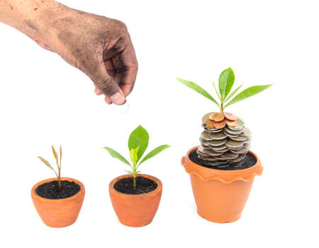 Coins in soil with young plant and human hand. Money growth conceptの写真素材