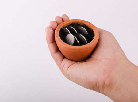 Plant growing out of coins isolated on whiteの写真素材