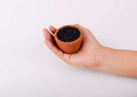 Human hand and jardiniere for tree