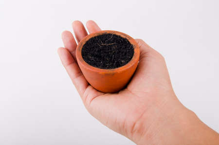 Human hand and jardiniere for treeの写真素材