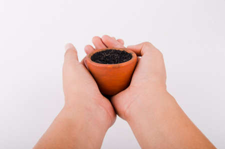 Human hand and jardiniere for treeの写真素材