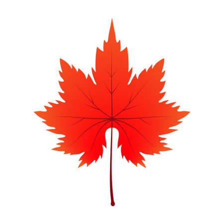 Autumn background for text.Vector illustrationのイラスト素材