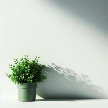 Green plant in pot on white wall background. Minimal concept.の素材