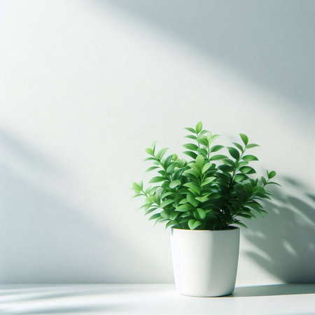 Green plant in white pot on white wall background. Minimal concept.の素材