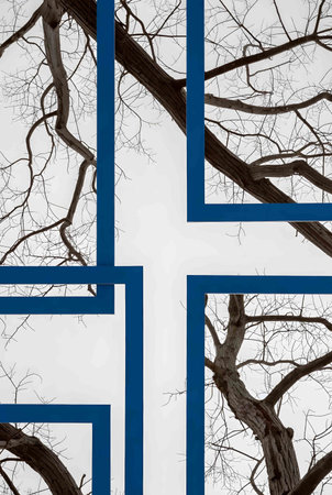Blue and white cross with branches of trees on a white background.の素材