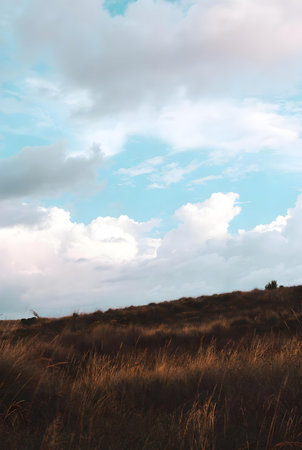 Beautiful landscape of dunes and grass under the blue cloudy skyの素材