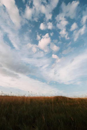 Dramatic sky over a grassy field at sunset in summerの素材