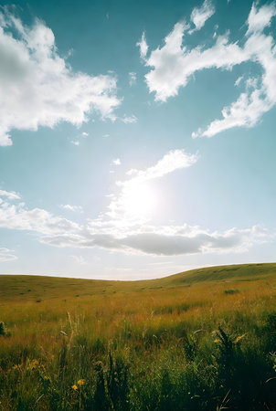 Beautiful summer landscape with green grass and blue sky with clouds.の素材
