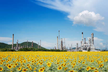 Oil Refinery factory in the morning , petrochemical plant , Petroleum.の写真素材