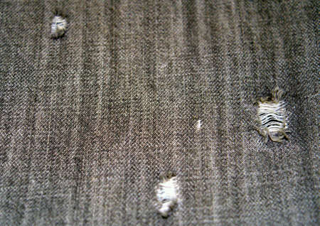 Torn jeans textureの素材