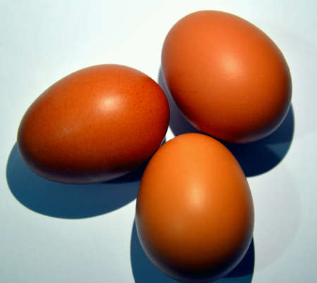 Chicken eggsの素材