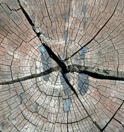 Wood cracksの素材