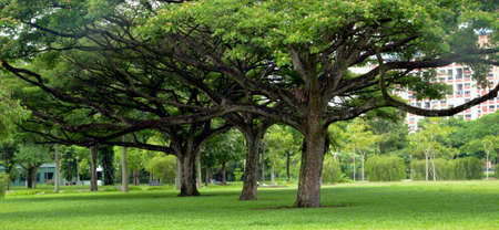 park
