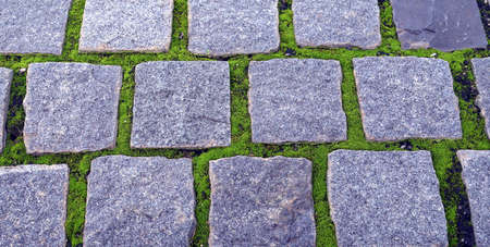 Zoom in view of stone path with lichenの写真素材