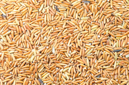 brown rice grains Wide angel shotの写真素材