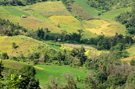 Agricultural landscape in the mountains