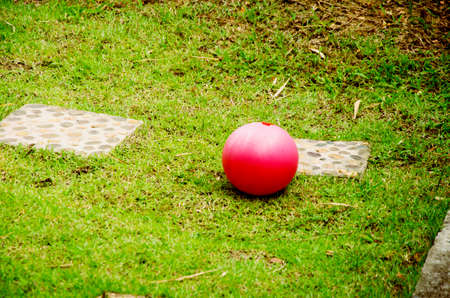 red ball on the green lawnの写真素材