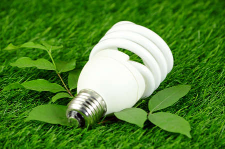 Energy Saving Light Bulb and Green Environmental Concept.