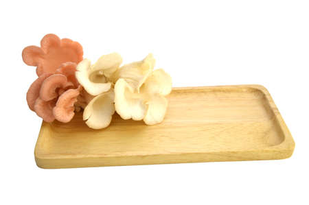Organic Pleurotus djamor or pink oyster mushroom growing on mushroon loaf on white background.の写真素材