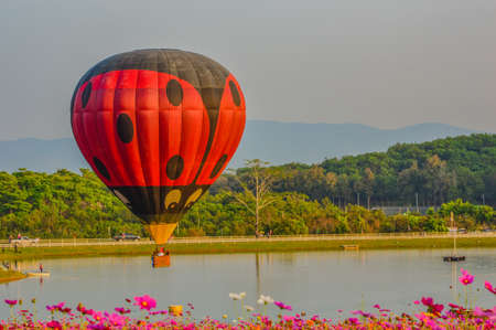 A balloon is a flexible bag that can be inflated with a gas, such as helium, hydrogen, nitrous oxide, oxygen, or air.の写真素材
