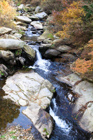 small stream in the valley at autumnの写真素材