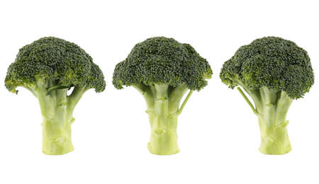 three green broccoli isolated on white ,abstract three treesの写真素材