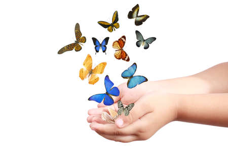 small hand and colorful butterflies isolated on white の写真素材