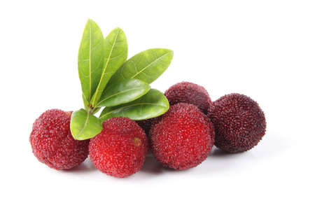 waxberry or red bayberry isolated on white.の写真素材