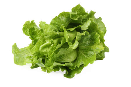 a green fresh lettuce isolated with white backgroundの写真素材