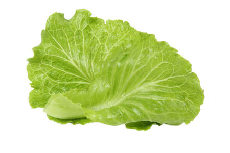 bright lettuce leaf isolated on white background の写真素材