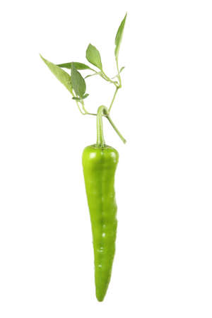 a green pepper and leaf isolated on whiteの写真素材