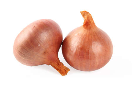 two onion on white background の写真素材