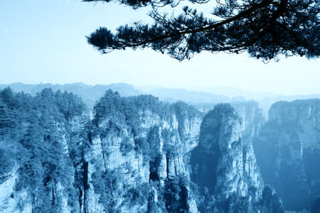 zhangjiajie national forest park in China, a world nature heritage site.の写真素材