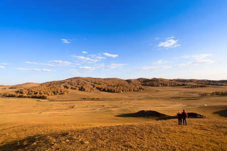autumn prairie,pasture and birch woods under blue skyの写真素材