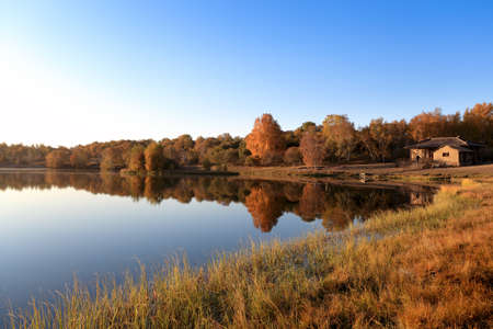 autumn landscape of the lake at morning