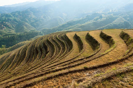 beautiful terraced fields scenery in guangxi province, Chinaの写真素材