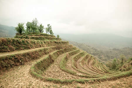 terraces in springtime with cloud and mistの写真素材