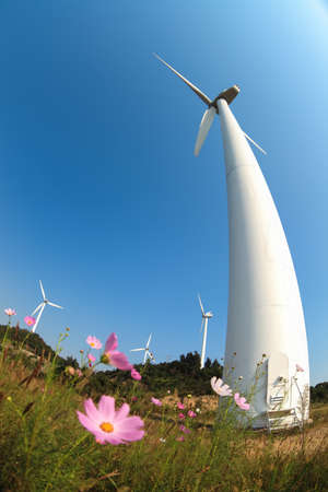 wind turbines generating electricity and flower with fish-eye viewの写真素材