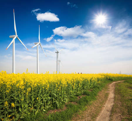 rapeseed field with wind turbines against a blue sky,green energy backgroundの写真素材