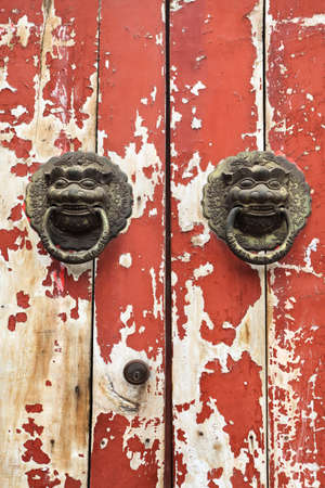 closeup of the mottled old door and knocker