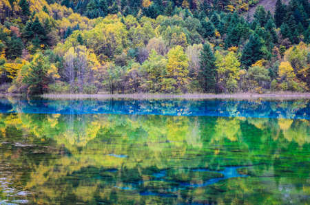 blue ribbon on the lake in autumn at jiuzhai valley national park,China.の写真素材