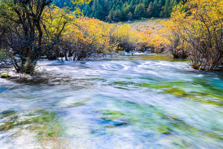 beautiful jiuzhaigou valley national park ,forest with flowing creek in autumn ,China.の写真素材
