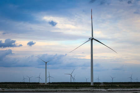 wind turbine farm in coastal mud flat,develop shoals concept.
の写真素材
