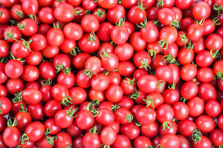group of fresh cherry tomatoes ,nature backgroundの写真素材