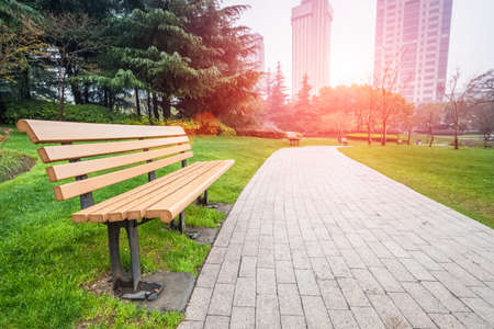 city park after rain ,bench and pedestrian pathの写真素材