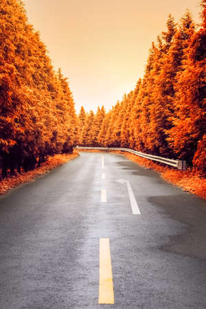 autumnal asphalt road , beautiful countryside highway backgroundの写真素材