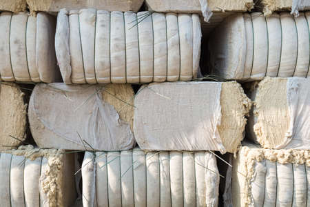 cotton lintersの写真素材